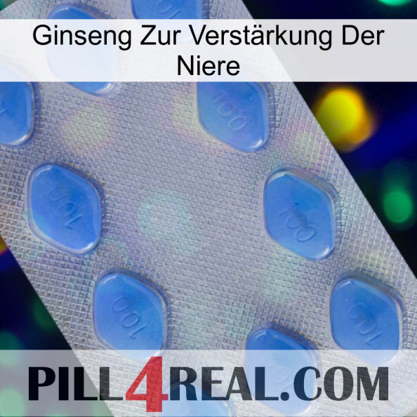 Ginseng Zur Verstärkung Der Niere 21